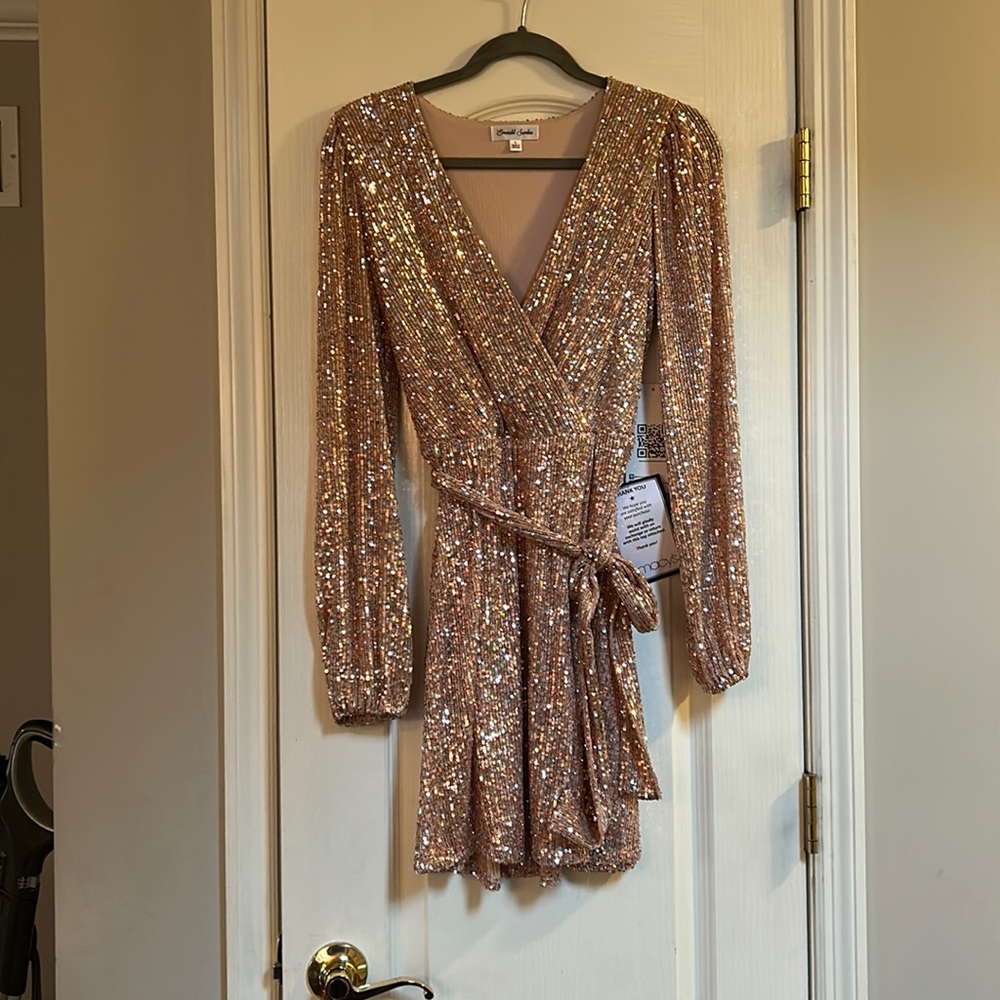 Rose Gold Longs sleeve dress